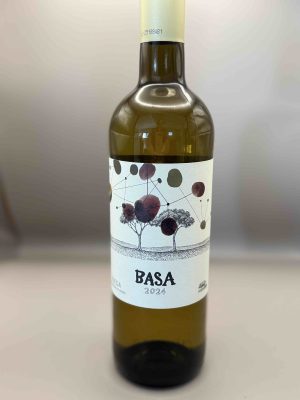 Telmo Rodrigues Basa 2024, Rueda,